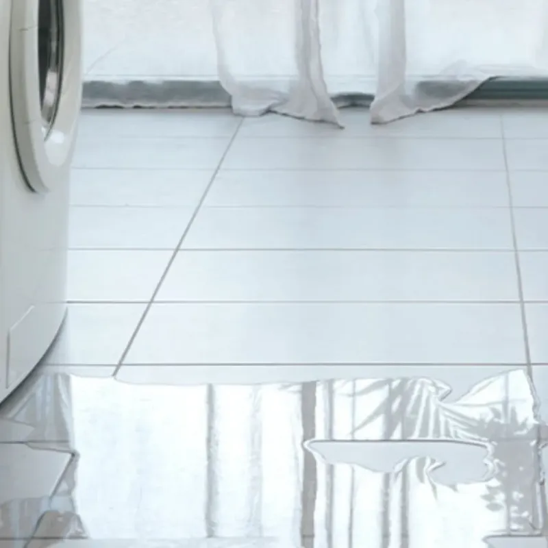 Appliance Leak Cleanup in Edinburgh, IN