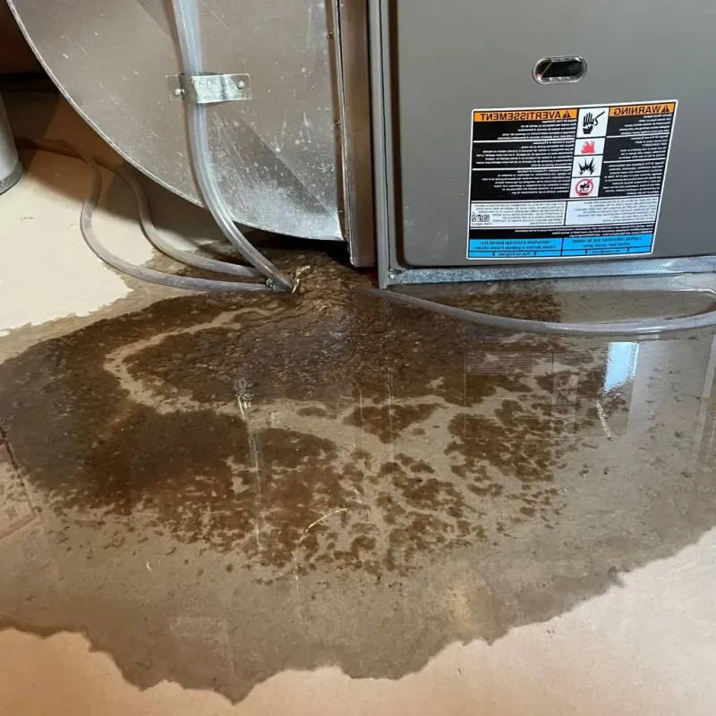 Pipe Burst and Leak Restoration in Edinburgh, IN