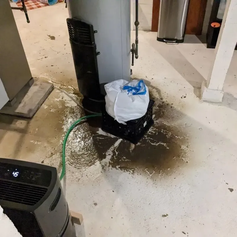 Sewage Backup Cleanup Service in Edinburgh, IN